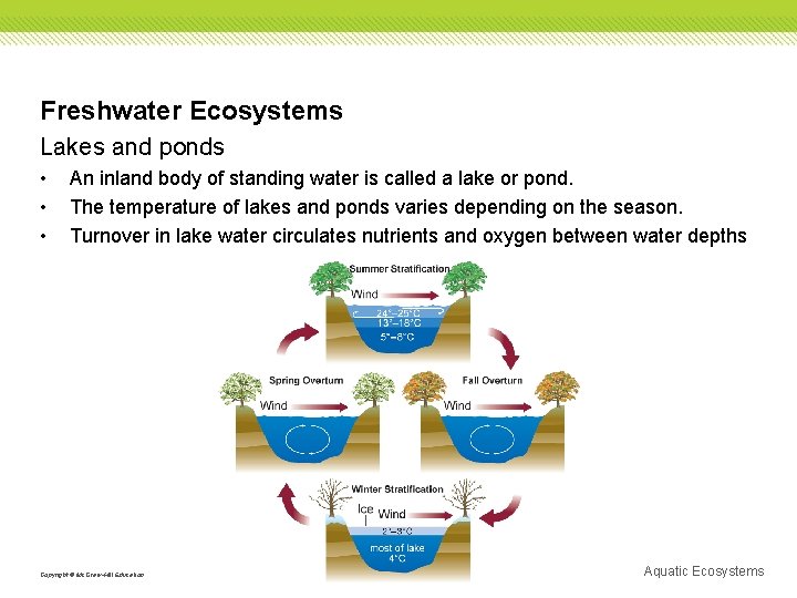 Freshwater Ecosystems Lakes and ponds • • • An inland body of standing water