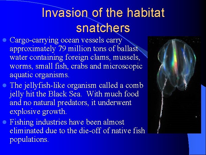 Invasion of the habitat snatchers Cargo-carrying ocean vessels carry approximately 79 million tons of