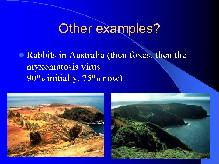 Other examples? l Rabbits in Australia (then foxes, then the myxomatosis virus – 90%