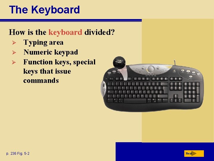 The Keyboard How is the keyboard divided? Ø Ø Ø Typing area Numeric keypad