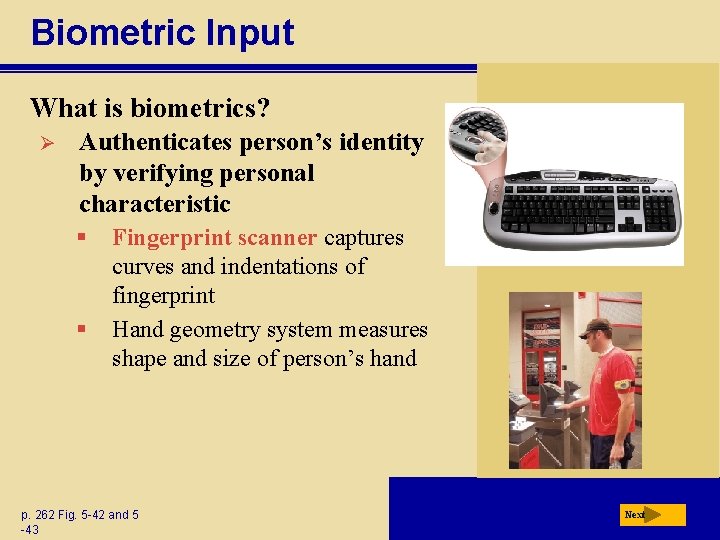 Biometric Input What is biometrics? Ø Authenticates person’s identity by verifying personal characteristic §