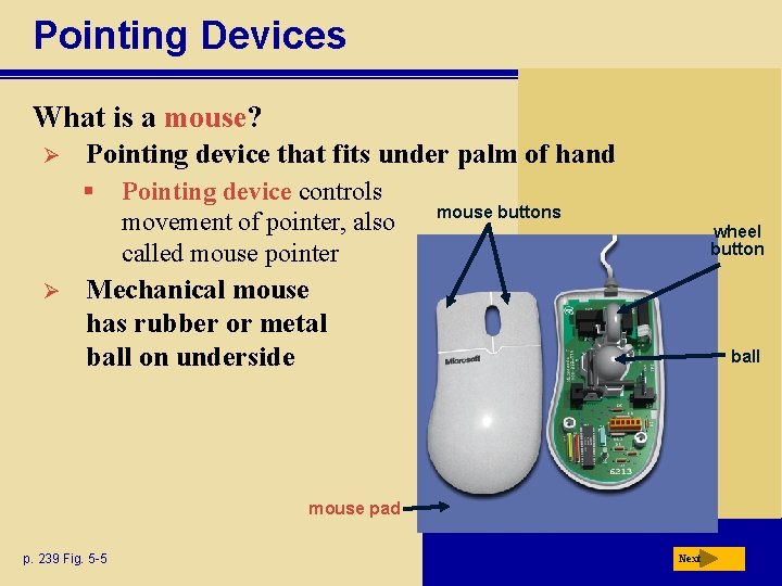 Pointing Devices What is a mouse? Ø Pointing device that fits under palm of