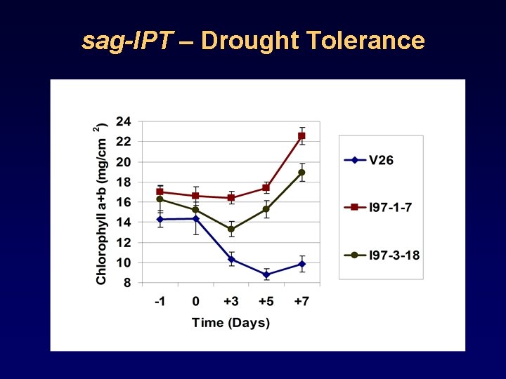 sag-IPT – Drought Tolerance 