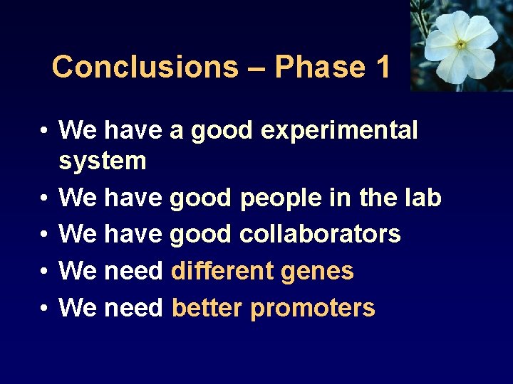 Conclusions – Phase 1 • We have a good experimental system • We have