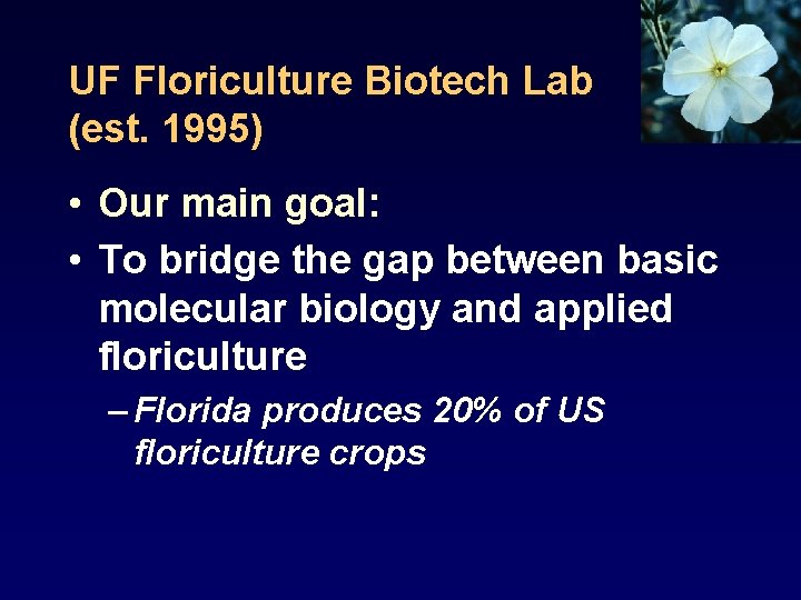 UF Floriculture Biotech Lab (est. 1995) • Our main goal: • To bridge the