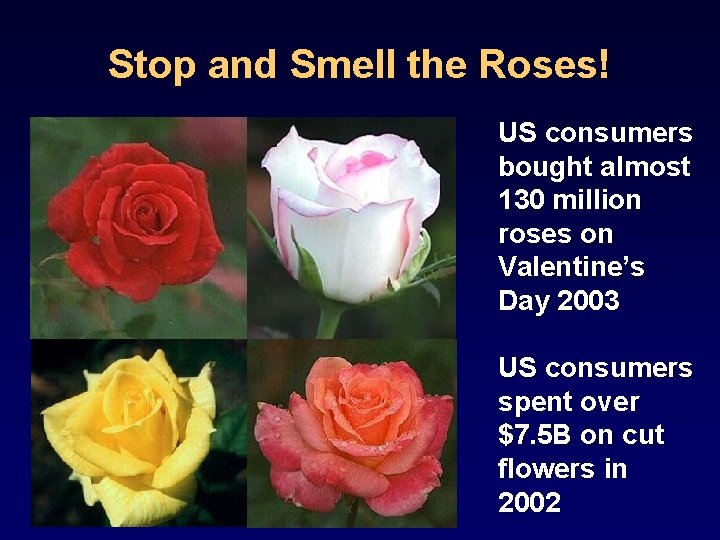 Stop and Smell the Roses! US consumers bought almost 130 million roses on Valentine’s