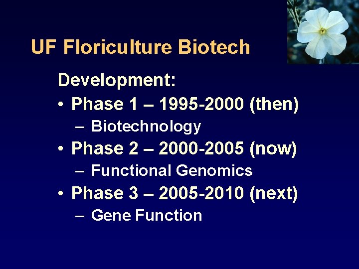 UF Floriculture Biotech Development: • Phase 1 – 1995 -2000 (then) – Biotechnology •