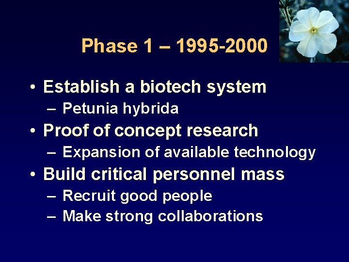 Phase 1 – 1995 -2000 • Establish a biotech system – Petunia hybrida •