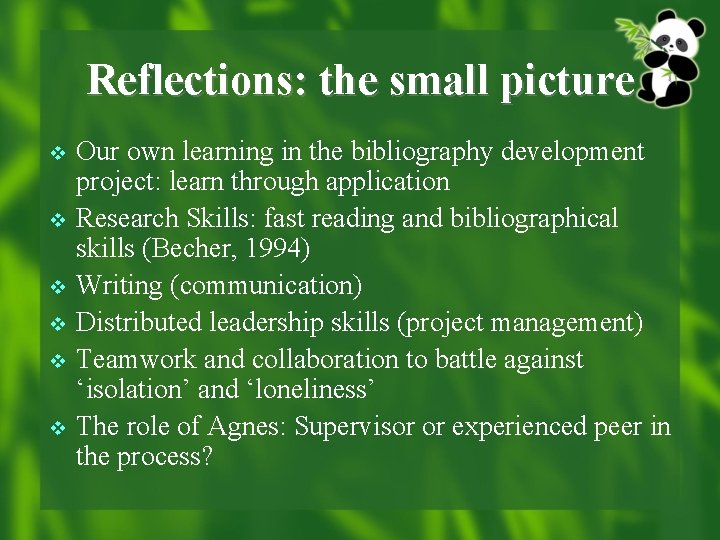 Reflections: the small picture v v v Our own learning in the bibliography development