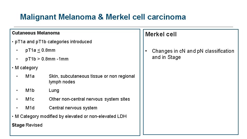 Malignant Melanoma & Merkel cell carcinoma Cutaneous Melanoma Merkel cell • p. T 1