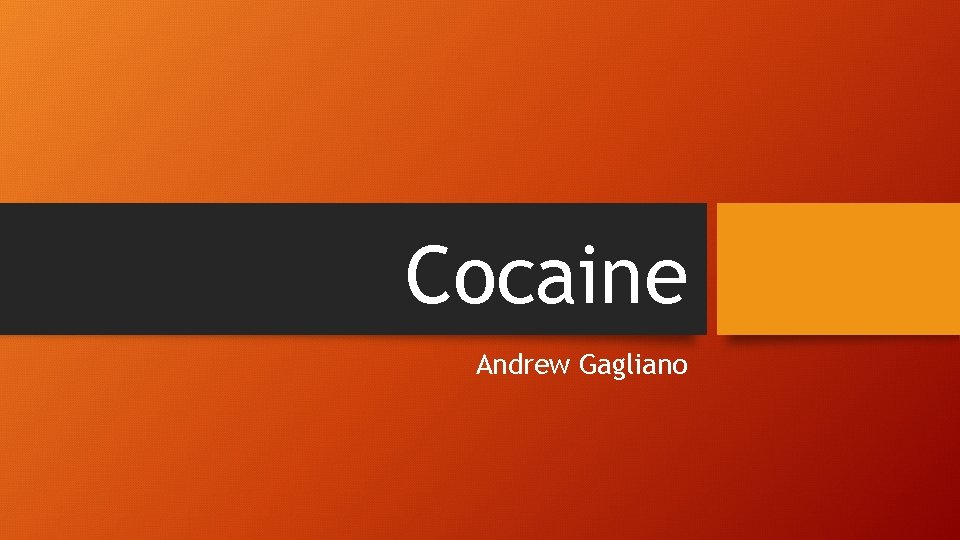 Cocaine Andrew Gagliano 
