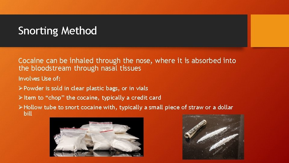 Snorting Method Cocaine can be inhaled through the nose, where it is absorbed into