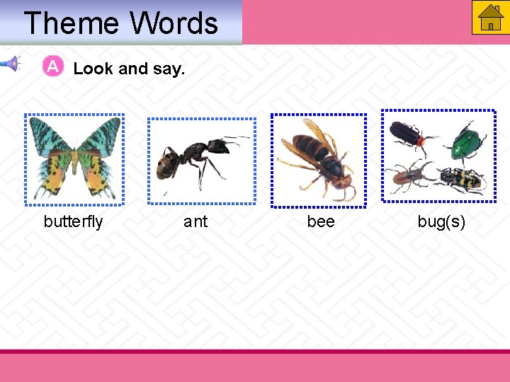 Theme Words A Look and say. butterfly ant bee bug(s) 