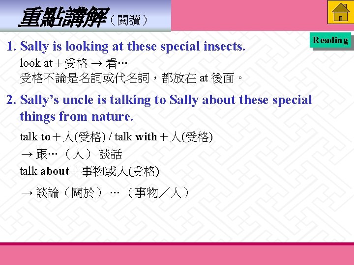 重點講解（閱讀） 1. Sally is looking at these special insects. look at＋受格 → 看… 受格不論是名詞或代名詞，都放在