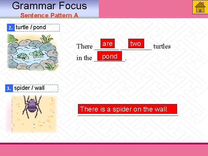 Grammar Focus Sentence Pattern A 2. turtle / pond are _____. turtles two There