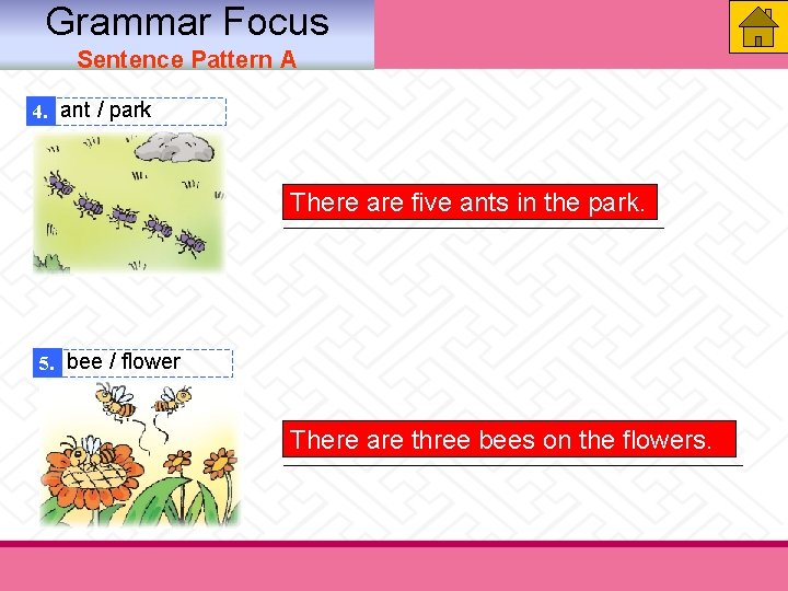 Grammar Focus Sentence Pattern A 4. ant / park There are five ants in