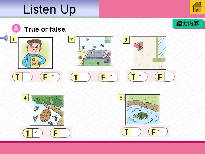 Listen Up 聽力內容 A True or false. 2 1 ˇ 3 ˇ ˇ 5