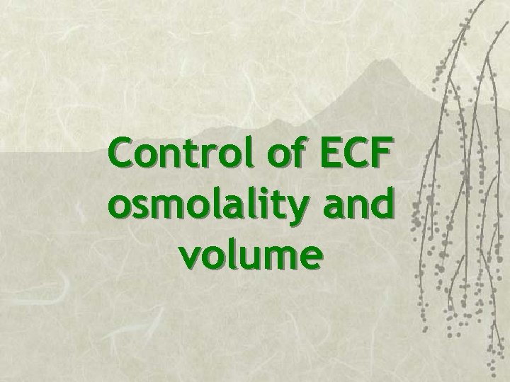 Control of ECF osmolality and volume 