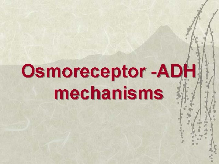 Osmoreceptor -ADH mechanisms 