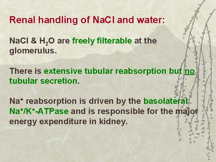 Renal handling of Na. Cl and water: Na. Cl & H 2 O are