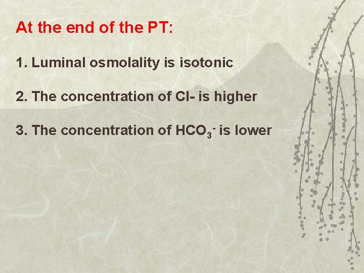 At the end of the PT: 1. Luminal osmolality is isotonic 2. The concentration