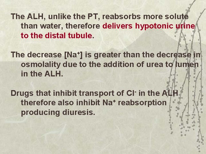 The ALH, unlike the PT, reabsorbs more solute than water, therefore delivers hypotonic urine
