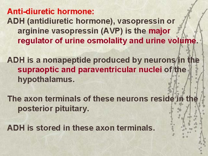 Anti-diuretic hormone: ADH (antidiuretic hormone), vasopressin or arginine vasopressin (AVP) is the major regulator