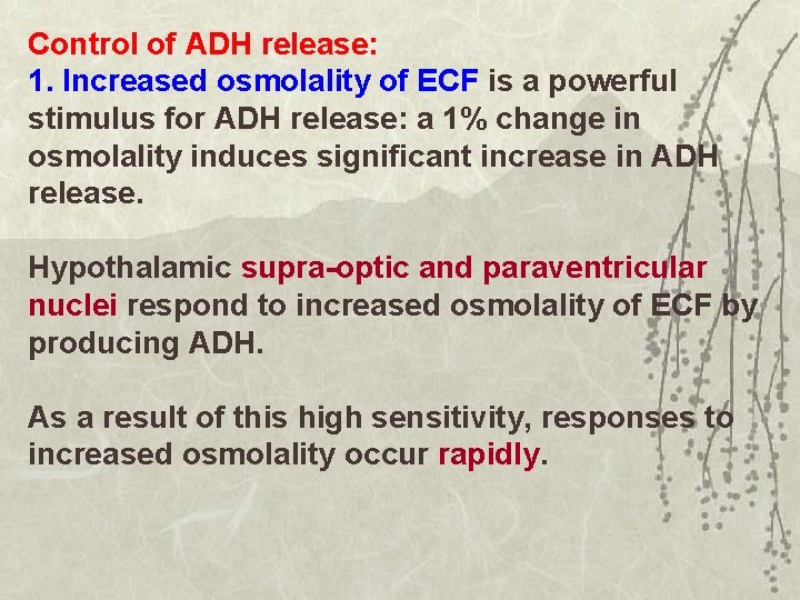 Control of ADH release: 1. Increased osmolality of ECF is a powerful stimulus for