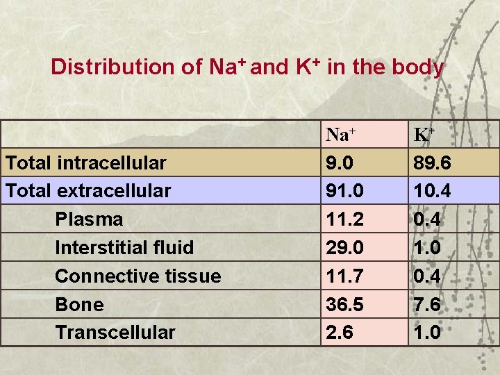 Distribution of Na+ and K+ in the body Total intracellular Total extracellular Plasma Interstitial