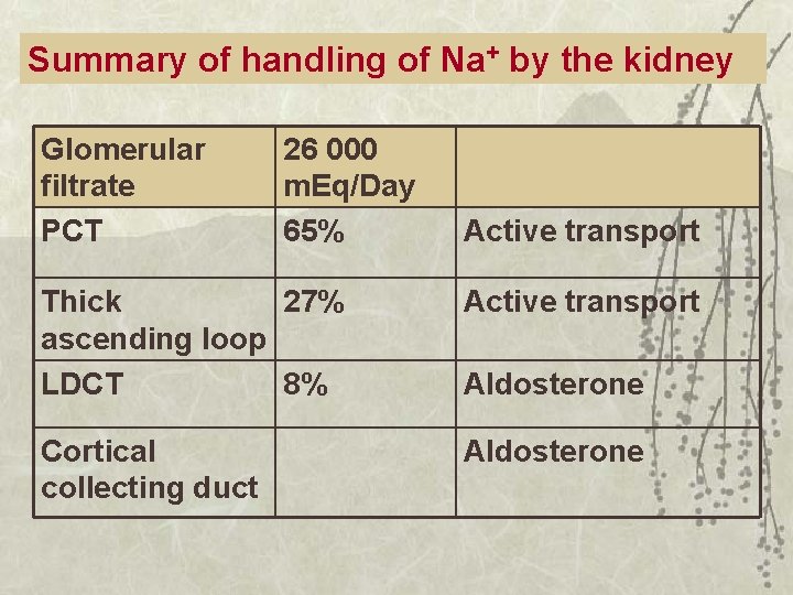 Summary of handling of Na+ by the kidney Glomerular filtrate PCT 26 000 m.