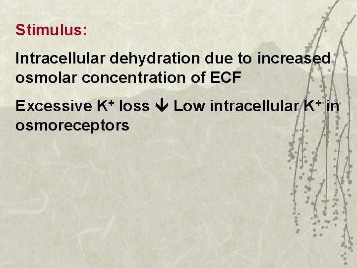 Stimulus: Intracellular dehydration due to increased osmolar concentration of ECF Excessive K+ loss Low