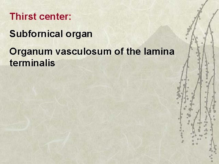 Thirst center: Subfornical organ Organum vasculosum of the lamina terminalis 