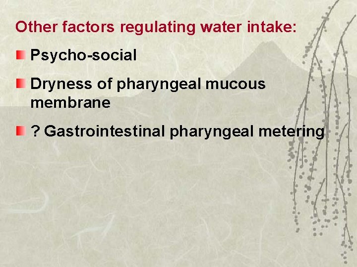 Other factors regulating water intake: Psycho-social Dryness of pharyngeal mucous membrane ? Gastrointestinal pharyngeal