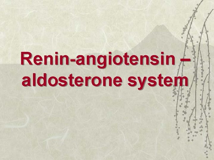 Renin-angiotensin – aldosterone system 
