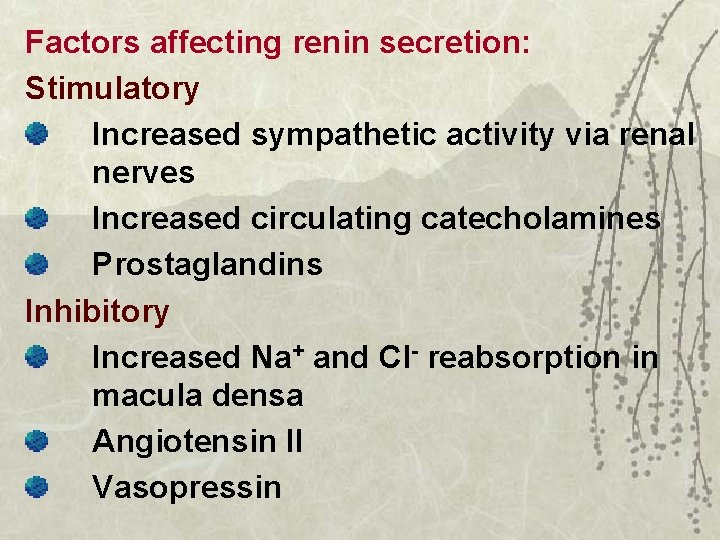 Factors affecting renin secretion: Stimulatory Increased sympathetic activity via renal nerves Increased circulating catecholamines