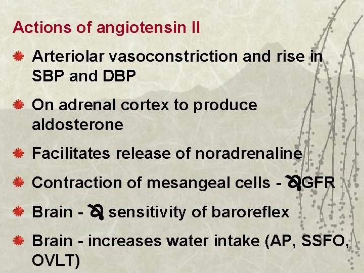 Actions of angiotensin II Arteriolar vasoconstriction and rise in SBP and DBP On adrenal