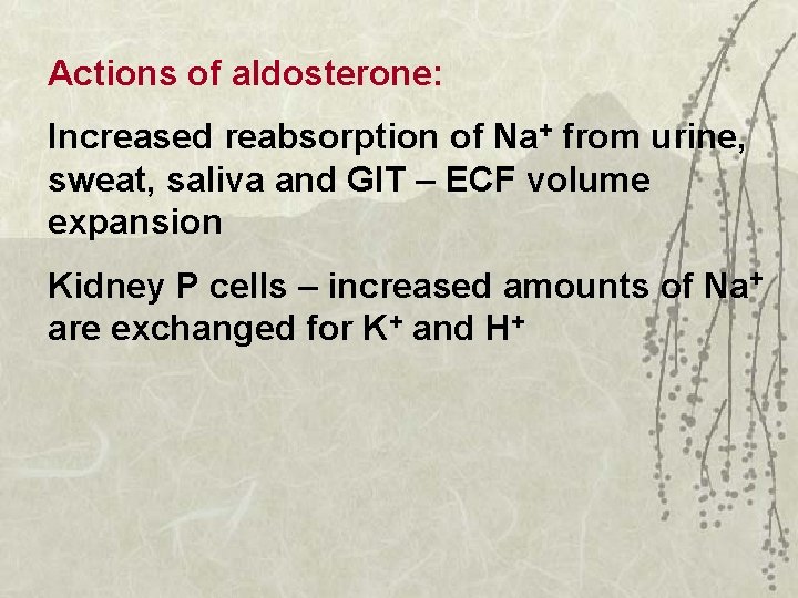 Actions of aldosterone: Increased reabsorption of Na+ from urine, sweat, saliva and GIT –