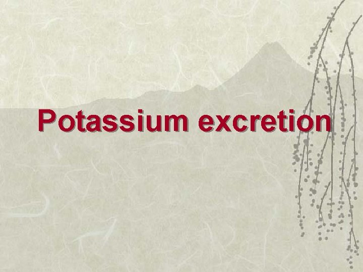 Potassium excretion 