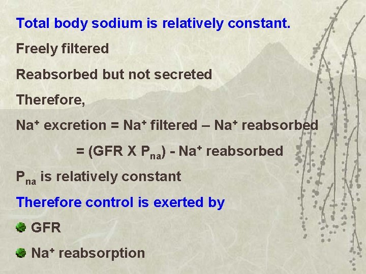 Total body sodium is relatively constant. Freely filtered Reabsorbed but not secreted Therefore, Na+