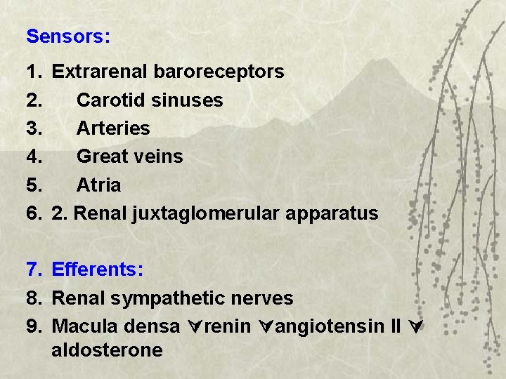Sensors: 1. Extrarenal baroreceptors 2. Carotid sinuses 3. Arteries 4. Great veins 5. Atria