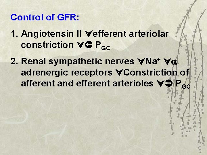 Control of GFR: 1. Angiotensin II efferent arteriolar constriction PGC 2. Renal sympathetic nerves