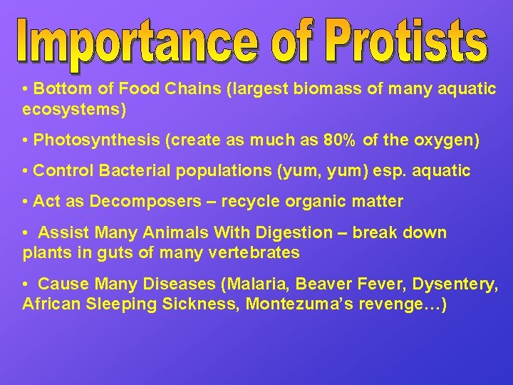  • Bottom of Food Chains (largest biomass of many aquatic ecosystems) • Photosynthesis