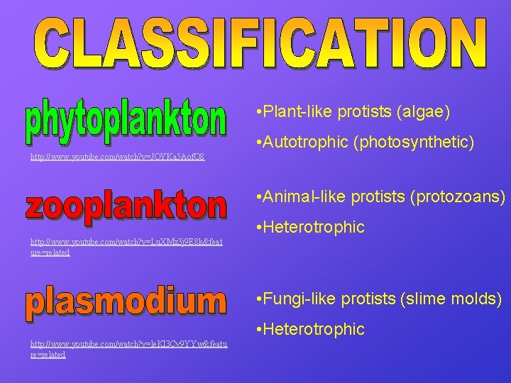  • Plant-like protists (algae) • Autotrophic (photosynthetic) http: //www. youtube. com/watch? v=JQYKa 5