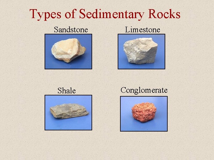 Types of Sedimentary Rocks Sandstone Shale Limestone Conglomerate 