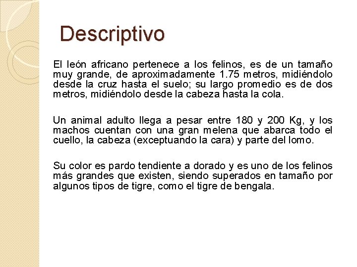 Descriptivo El león africano pertenece a los felinos, es de un tamaño muy grande,