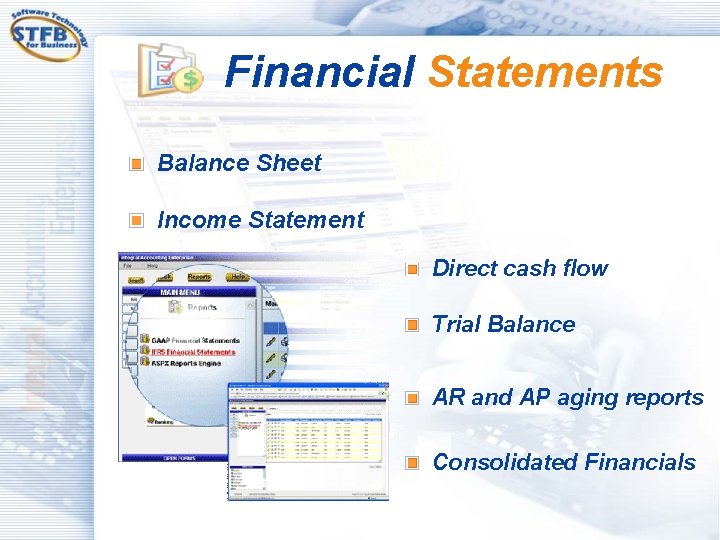 Financial Statements Balance Sheet Income Statement Direct cash flow Trial Balance AR and AP