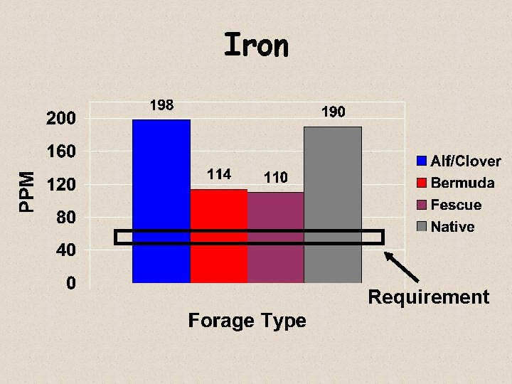 Iron Requirement 