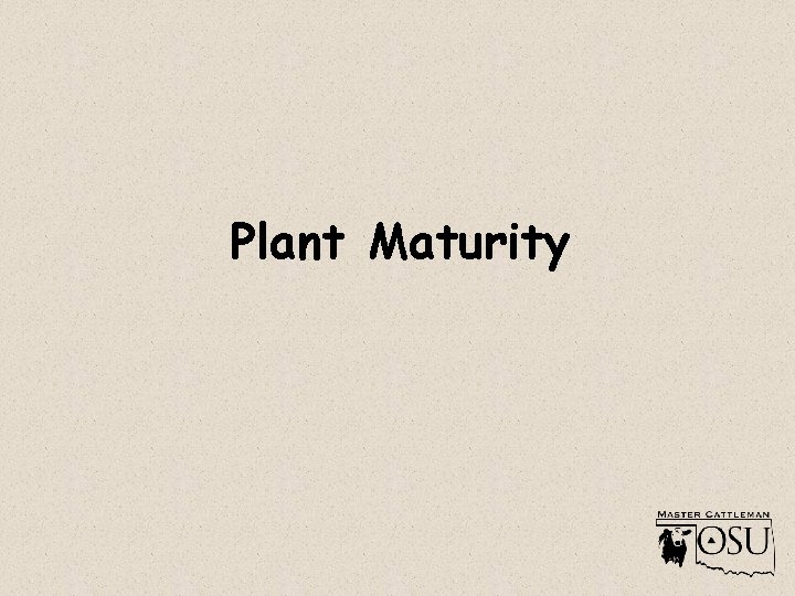 Plant Maturity 