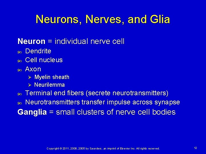 Neurons, Nerves, and Glia Neuron = individual nerve cell Dendrite Cell nucleus Axon Myelin