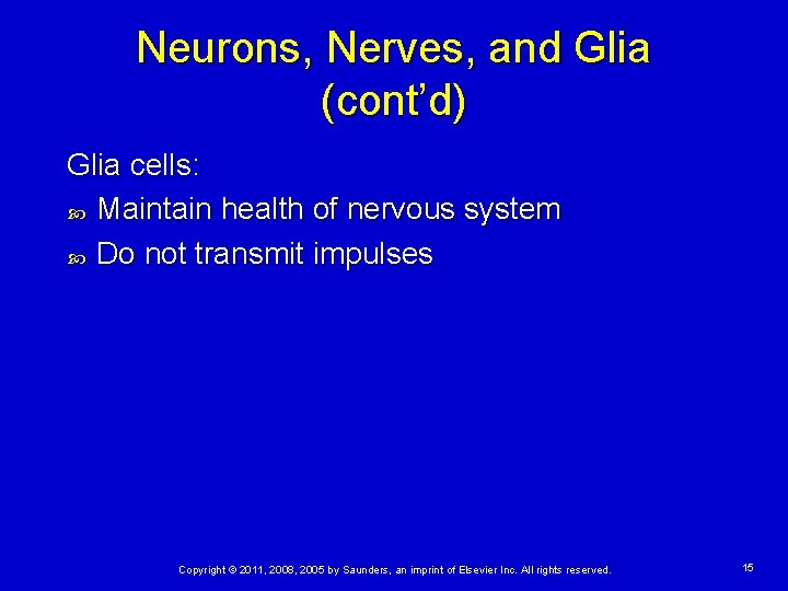 Neurons, Nerves, and Glia (cont’d) Glia cells: Maintain health of nervous system Do not